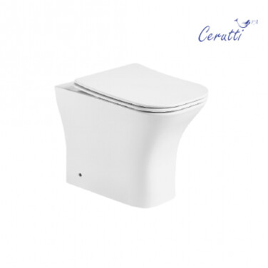 Ceruttispa Vettore F CT7841