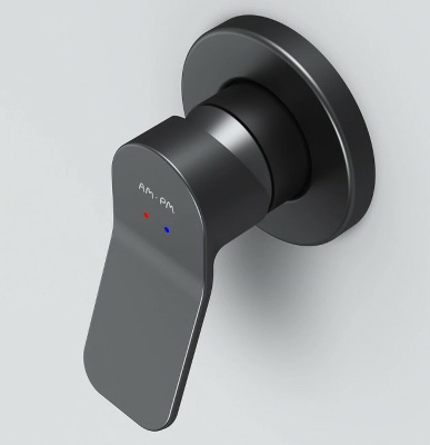 AM.PM X-Joy F85A65022 Черный матовый
