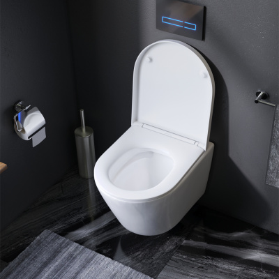 AM.PM C741701SC Sense FlashClean с сиденьем микролифт