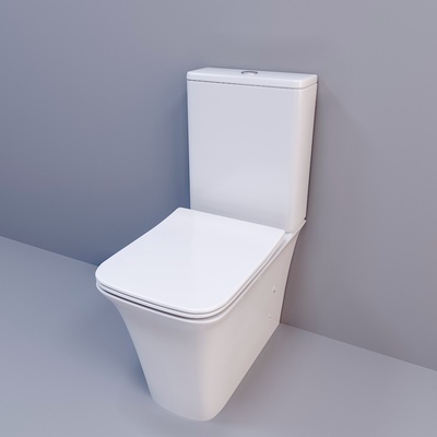 Ceruttispa Arno CT7838